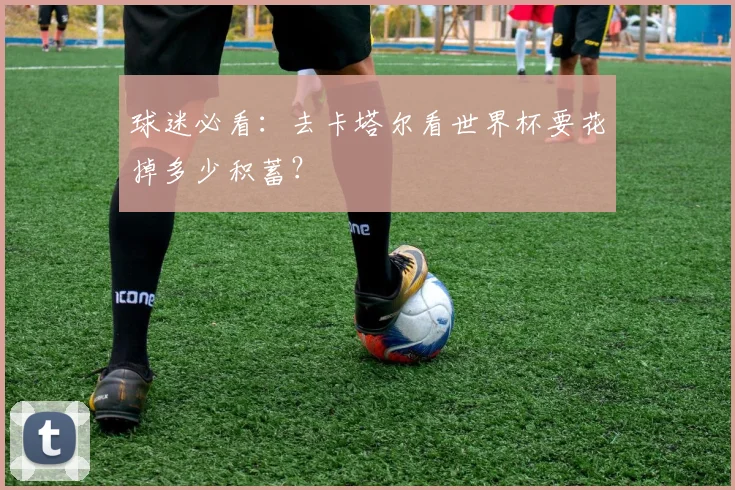 球迷必看：去卡塔尔看世界杯要花掉多少积蓄？